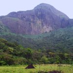 வாக்கு விழிப்புணர்வு கட்டுரை