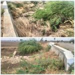 மாப்பிள்ளையூரணி இந்திரா நகாில் பேவர் பிளாக் சாலை அமைக்கும் பணி ஊராட்சி மன்ற தலைவர் சரவணக்குமாா் ஆய்வு