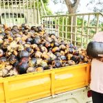 தூத்துக்குடியில் சாம்சங் நிறுவனத்தை கண்டித்து சிஐடியு தொழிற்சங்கம் சார்பில் மறியல் போராட்டத்தில் ஈடுபட்டவரை போலீசார் கைது செய்தனர்