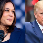 கோவில்பட்டி அருகே உள்ள வில்லிசேரி அரசு மேல்நிலைப் பள்ளியில் மழைக்காலத்தை முன்னிட்டு விதைப்பந்து தூவுதல் நிகழ்ச்சி நடைபெற்றது.