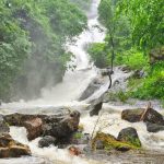 விளாத்திகுளம் தாலுகாவில் ஜமாபந்தி நிறைவு; 91 மனுக்களுக்கு உடனடி தீர்வு