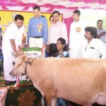 தூத்துக்குடி மாவட்டத்தில் வாகை குளம் மற்றும் துரைச்சாமி புரம் உப மின் நிலையத்தில் நாளை மின்தடை!