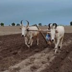 தூத்துக்குடி வட்டார  பகுதிகளில் நாளை மின்தடை