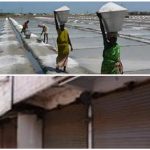 வெள்ள நிவாரணம், பயிர் காப்பீடு உடனே வழங்க – கரிசல் பூமி விவசாயிகள் சங்கம் பிச்சை எடுத்து நூதன போராட்டம்!