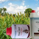 6–12 வகுப்பு மாணவர்களுக்கு செப்டம்பர் 18 முதல் காலாண்டுத் தேர்வு அறிவிப்பு