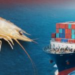 சர்வே லைசன்ஸ் பெற 3 மாத பயிற்சி; விண்ணப்பிக்கலாம் – தமிழக அரசின் அறிவிப்பு