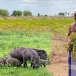 “இந்திய பொருளாதார வளர்ச்சிக்கு புதிய பாதை – GST 2025 சீர்திருத்தங்கள்”