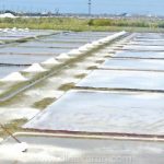 தூத்துக்குடியில் மழைக்காலத்தை முன்னிட்டு ஓடை, கால்வாய், வடிகால்கள் சீரமைக்கப்பட்டு தயார் நிலையில் உள்ளன – மேயர் ஜெகன்