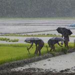 கந்த சஷ்டி விழாவை முன்னிட்டு உணவு பாதுகாப்புத் துறை கண்காணிப்பு தீவிரம்